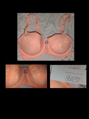 NWT Favorite Balconeete Push Up Bra Womens Sz 38C